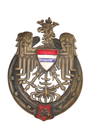 Odznaka pamiątkowa 10. Pułku Ułanów Litewskich